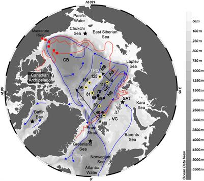 The Influence of Water Mass Mixing and Particle Dissolution on the Silicon Cycle in the Central Arctic Ocean